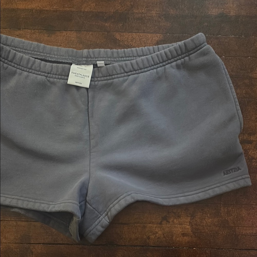 Aritzia Sweatfleece Gray Women's Shorts